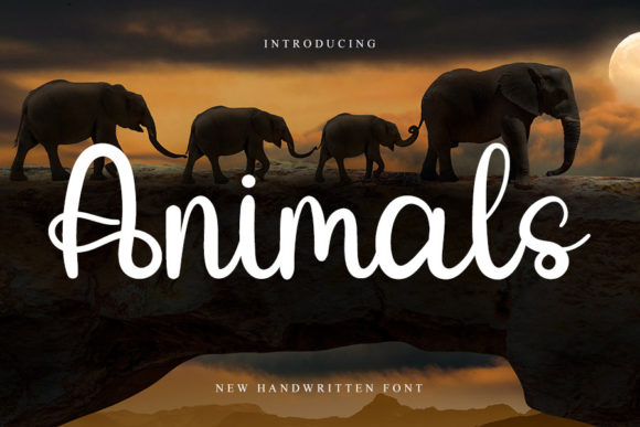 Animals Font: A Handwritten Typeface for Editorial Elegance