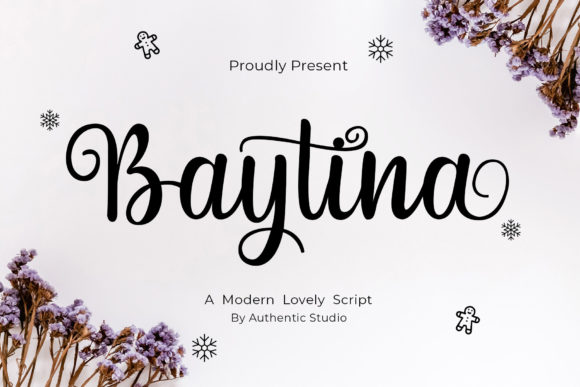 Baytina: A Romantic Calligraphy Font