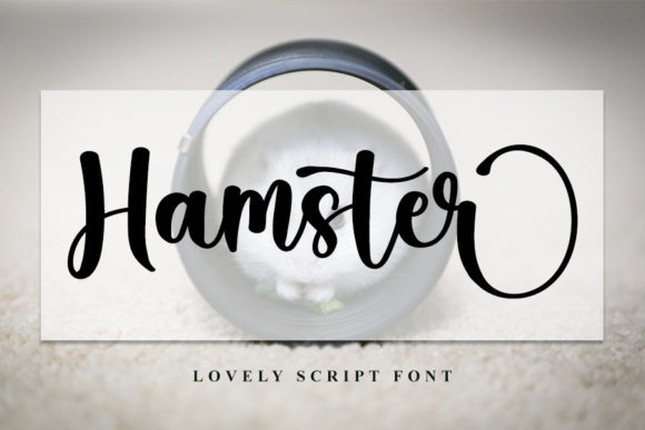 Hamster: A Stylish Script Font for Web Design