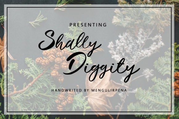Shally Diggity Font for Business